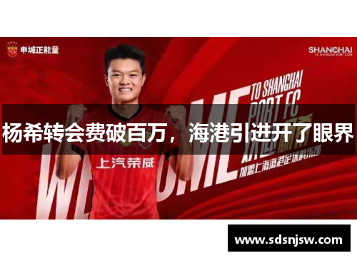 杨希转会费破百万，海港引进开了眼界