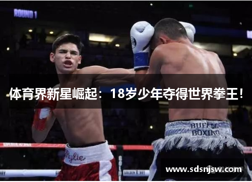 体育界新星崛起：18岁少年夺得世界拳王！